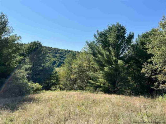 WHITE ROAD LOT 3, Margaretville, NY 12455 Land For Sale | MLS# 20220295 ...