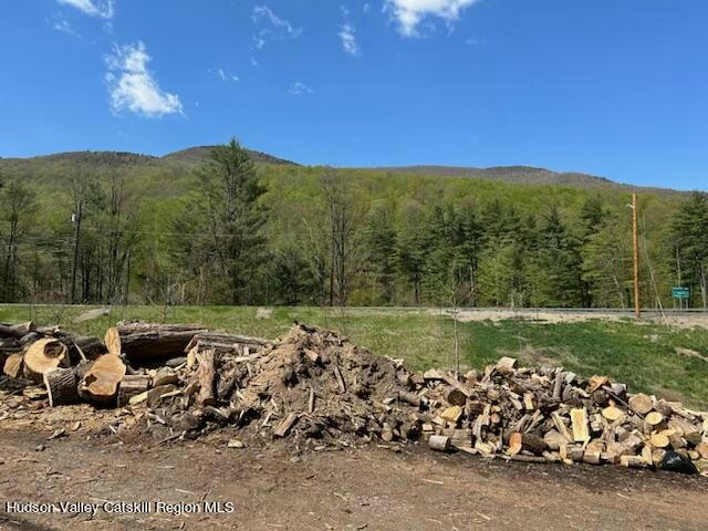 5485 ROUTE 212, MT. TREMPER, NY 12457, photo 1 of 7